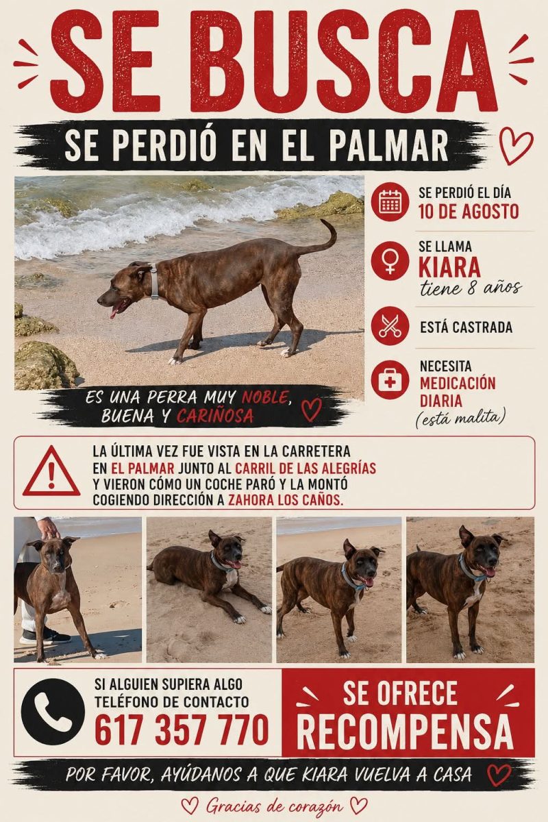 Desaparecida kiara
