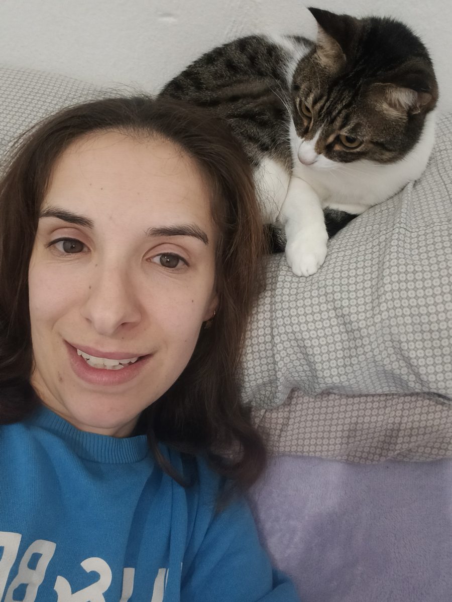 Gato Goku perdido